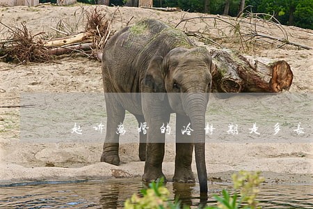 起诉离婚的冷静期是多长