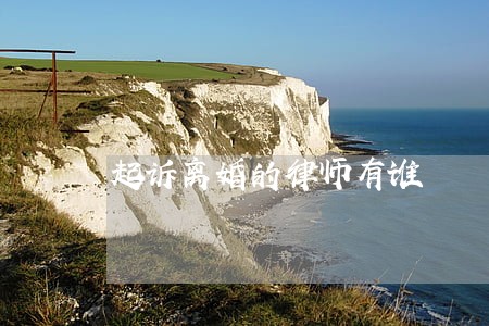 起诉离婚的律师有谁 起诉离婚的律师有谁