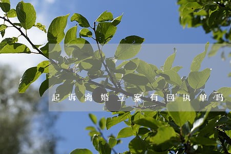 起诉离婚立案有回执单吗 起诉离婚立案有回执单吗