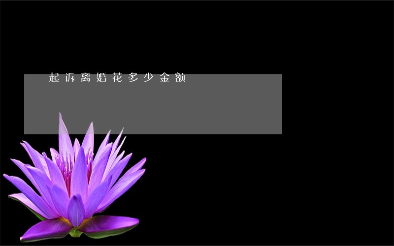 起诉离婚花多少金额 起诉离婚花多少金额