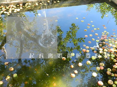 起诉离婚调解要收费 起诉离婚调解要收费