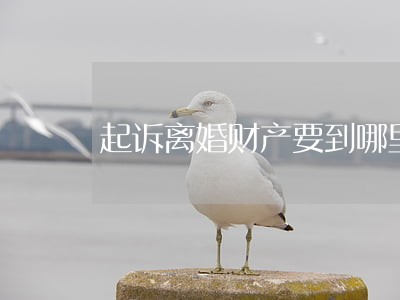 起诉离婚财产要到哪里办 起诉离婚财产要到哪里办