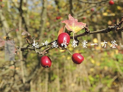 起诉离婚需要一方签字吗 起诉离婚需要一方签字吗