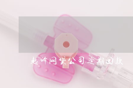 起诉网贷公司逾期回款 起诉网贷公司逾期回款
