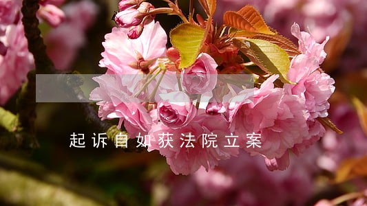 起诉自如获法院立案 起诉自如获法院立案