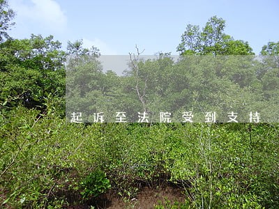 起诉至法院受到支持 起诉至法院受到支持