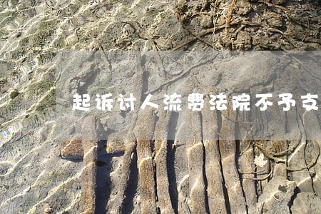 起诉讨人流费法院不予支持 起诉讨人流费法院不予支持