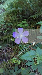 起诉邻居违反相邻权律师费用 起诉邻居违反相邻权律师费用
