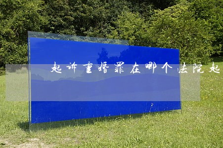 起诉重婚罪在哪个法院起诉 起诉重婚罪在哪个法院起诉