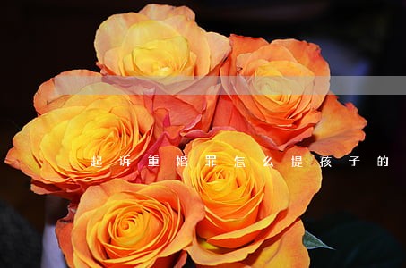 起诉重婚罪怎么提孩子的抚养费 起诉重婚罪怎么提孩子的抚养费