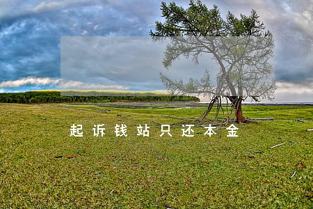 起诉钱站只还本金