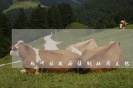 起诉镇政府强制征用土地行为违法 起诉镇政府强制征用土地行为违法