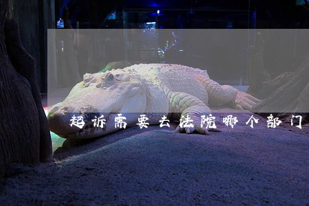 起诉需要去法院哪个部门