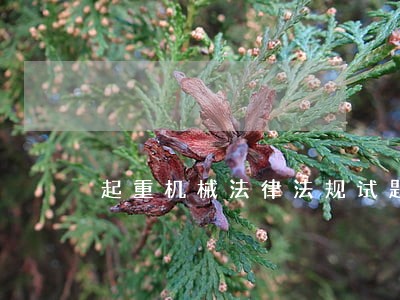 起重机械法律法规试题 起重机械法律法规试题