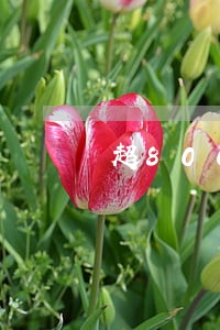 超800家公司逾期