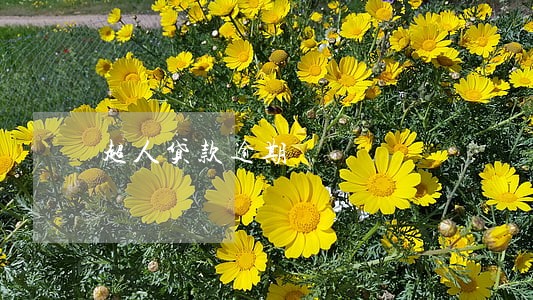 超人贷款逾期 超人贷款逾期