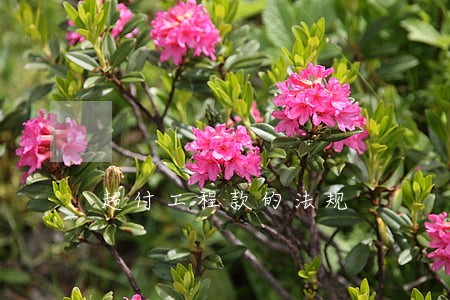 超付工程款的法规 超付工程款的法规
