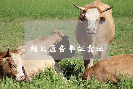 超出原告举证责任