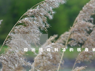 超出法院判决的钱会被冻结嘛 超出法院判决的钱会被冻结嘛