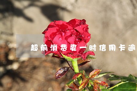 超前消费爽一时信用卡逾期 超前消费爽一时信用卡逾期