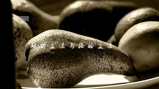 超前立法与经验立法 超前立法与经验立法