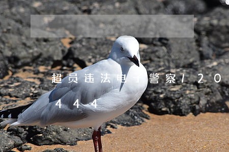 超员违法电子警察/2023020222444 超员违法电子警察/2023020222444