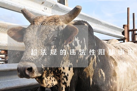 超法规的违法性阻却事由