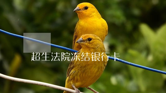超生法院冻结银行卡 超生法院冻结银行卡