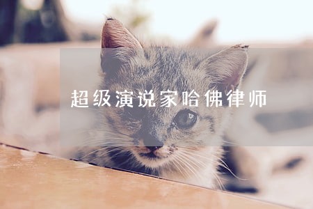 超级演说家哈佛律师 超级演说家哈佛律师
