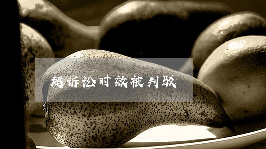 超诉讼时效被判驳 超诉讼时效被判驳