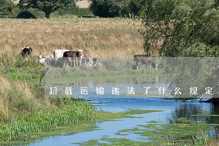 超载运输违法了什么规定 超载运输违法了什么规定