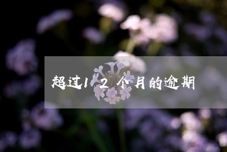 超过12个月的逾期 超过12个月的逾期