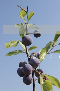 超过2000逾期不还可以报案 超过2000逾期不还可以报案