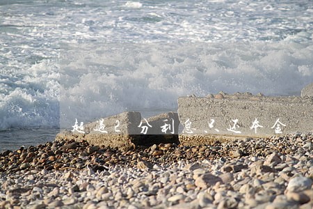 超过2分利息只还本金 超过2分利息只还本金