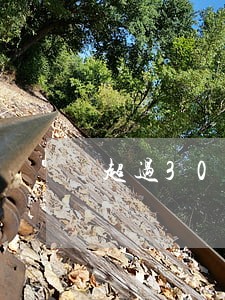 超过30天信用卡逾期