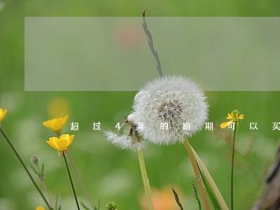 超过4年的逾期可以买车吗 超过4年的逾期可以买车吗