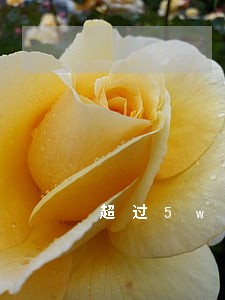 超过5w信用卡逾期 超过5w信用卡逾期