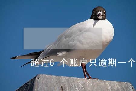 超过6个账户只逾期一个月