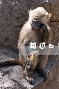 超过6次逾期房贷 超过6次逾期房贷