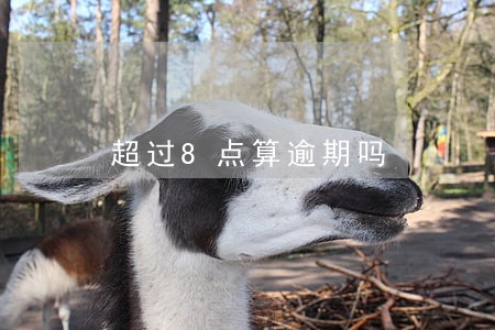 超过8点算逾期吗 超过8点算逾期吗
