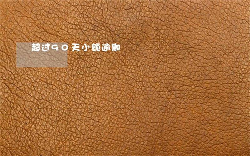 超过90天小额逾期