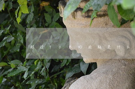 超过90天的逾期是什么意思 超过90天的逾期是什么意思