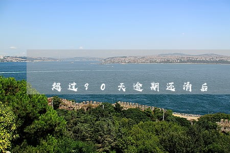 超过90天逾期还清后 超过90天逾期还清后