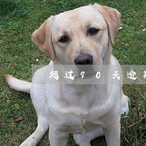超过90天逾期还能办房贷吗 超过90天逾期还能办房贷吗