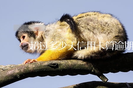 超过多少天信用卡算逾期