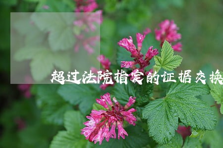 超过法院指定的证据交换时间 超过法院指定的证据交换时间