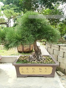 超过法院规定时间提出异议 超过法院规定时间提出异议