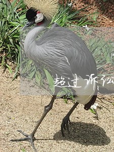 超过诉讼时效判决驳回诉讼请求 超过诉讼时效判决驳回诉讼请求