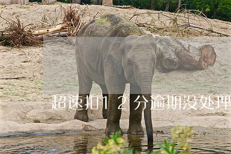 超速扣12分逾期没处理半年了 超速扣12分逾期没处理半年了