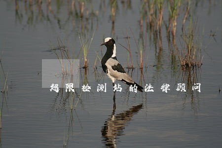 超限检测站的法律顾问 超限检测站的法律顾问